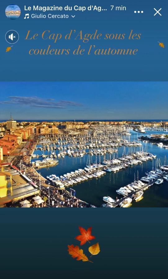 Studio La Grande Roue Vue Magnifique Агде Екстериор снимка